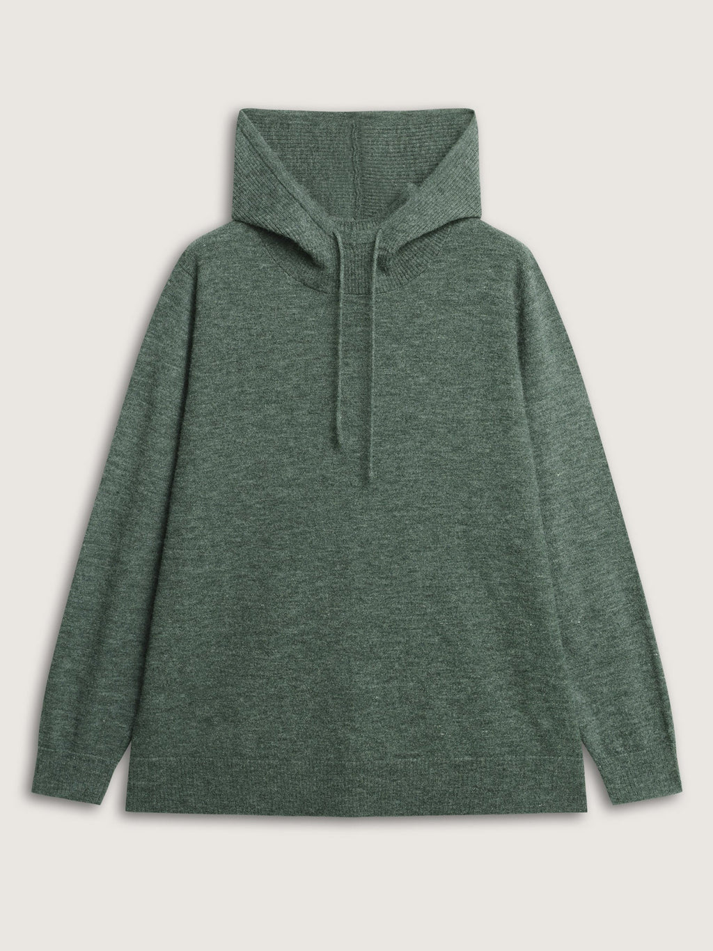 Hooded Turtleneck Plain Pullover