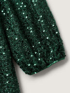 Shimmery Sequin V-Neck Knee Dress