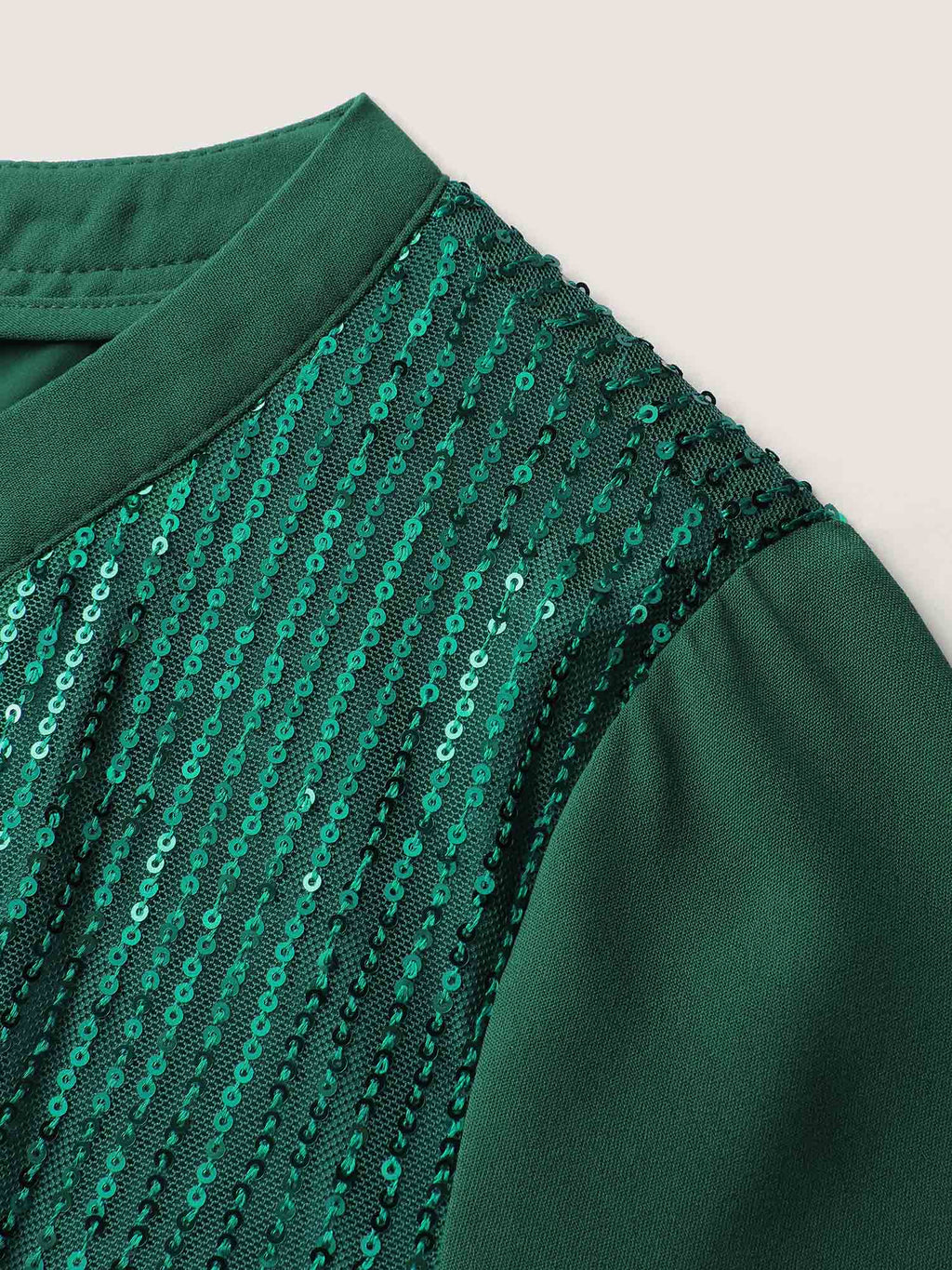 Shimmery Sequin Notched Collar Blouse