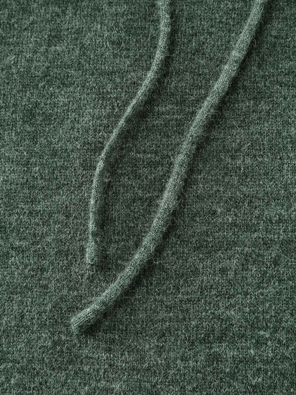 Hooded Turtleneck Plain Pullover