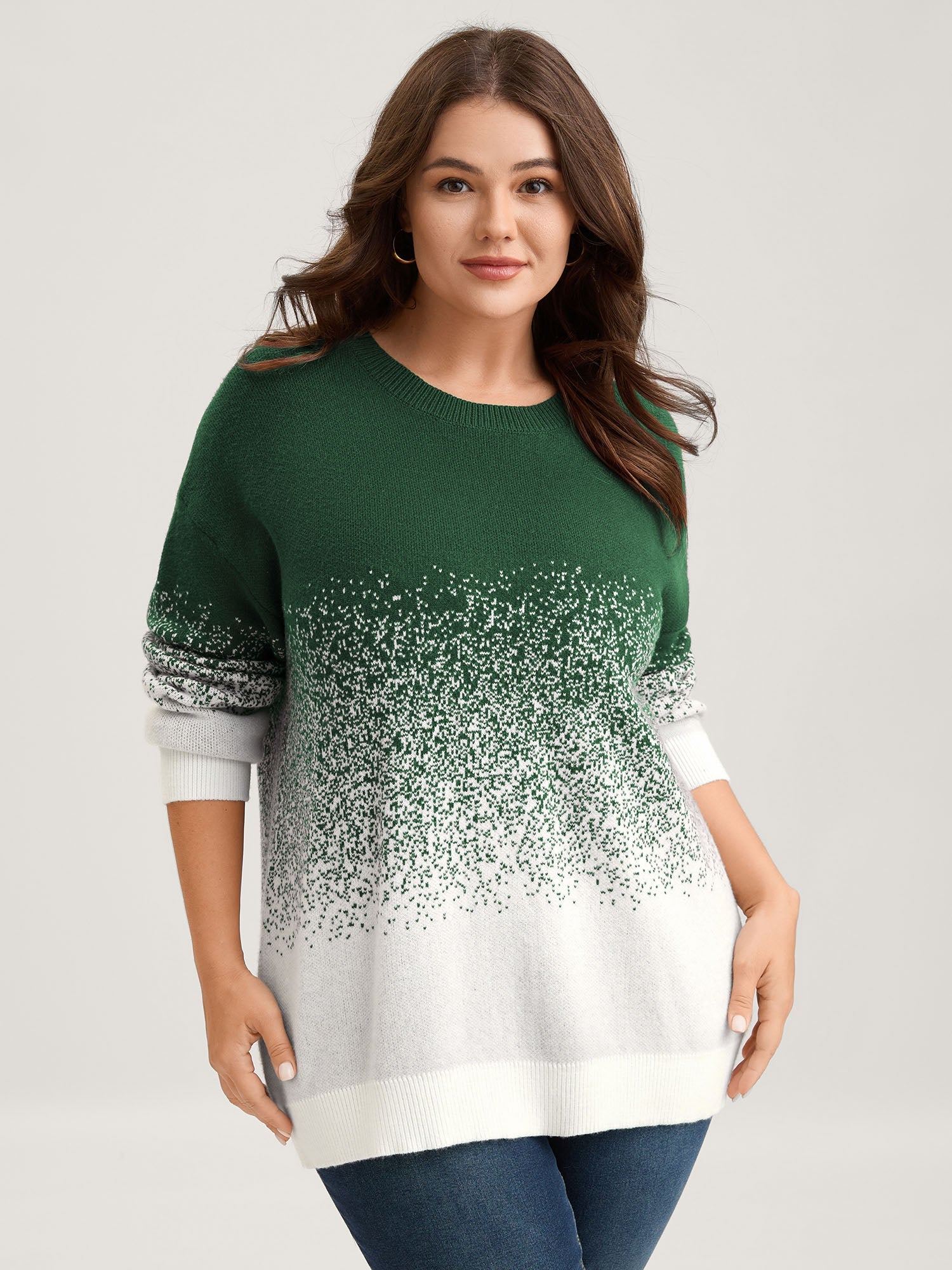Jacquard Color Blend Ribbed Hem Pullover