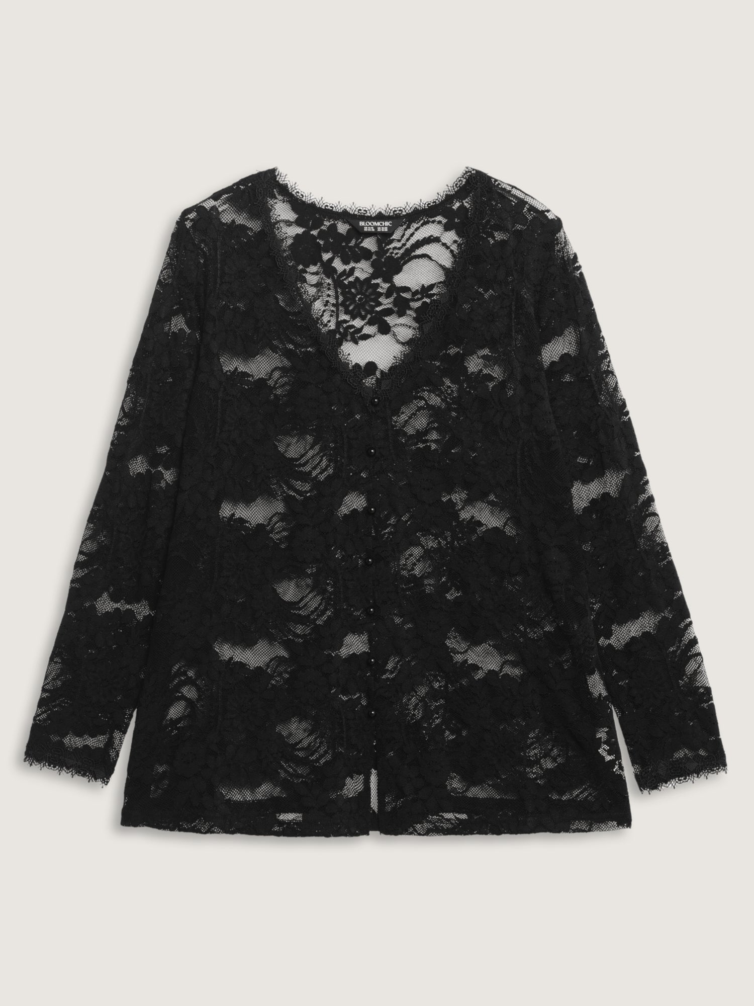 Sheer Lace Trim V-Neck Top