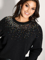 Sequin Embroidery Round Neck Pullover