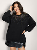 Sequin Embroidery Round Neck Pullover