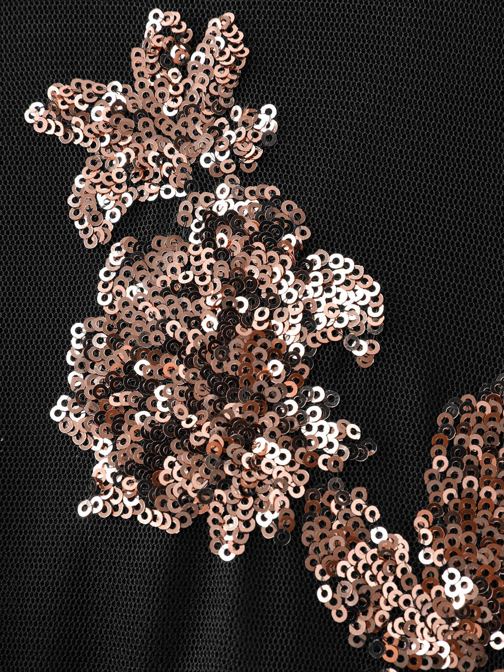 Floral Print Sheer Contrast Midi Dress