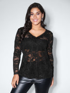 Sheer Lace Trim V-Neck Top