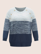 Colorblock Contrast Heather Button Detail Pullover