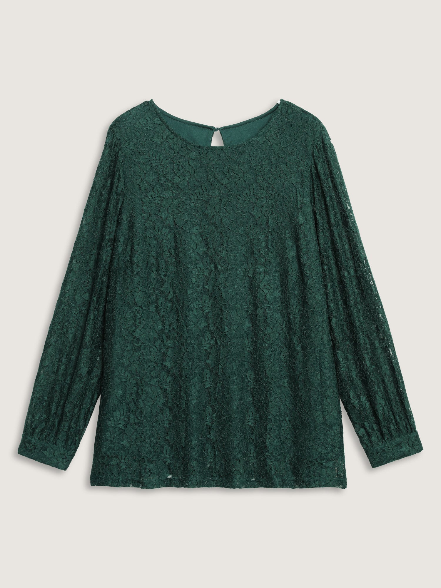 Solid Crochet Lace Mesh Crew Neck Blouse