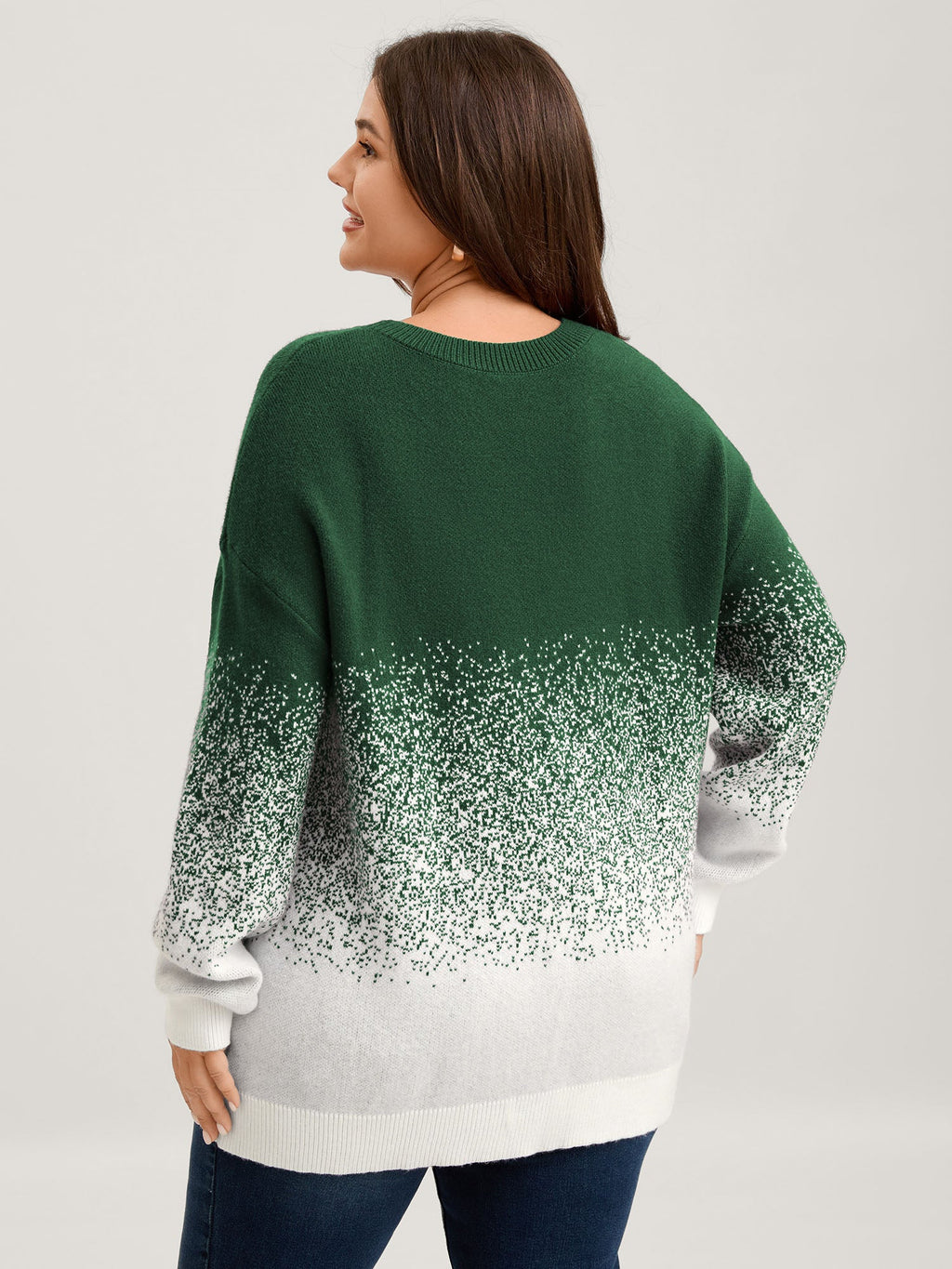 Jacquard Color Blend Ribbed Hem Pullover